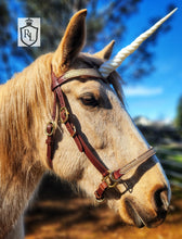 Load image into Gallery viewer, Unicorn halter/bridle combination Horse size