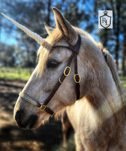 Load image into Gallery viewer, Unicorn halter/bridle combination Horse size