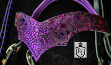 Load image into Gallery viewer, Crown of Scales Sidepull Set