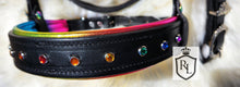 Load image into Gallery viewer, Custom Color Padded Bit Bridle
