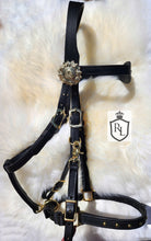 Load image into Gallery viewer, Baroque style halter bridle combination