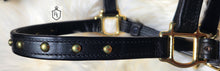 Load image into Gallery viewer, Baroque style halter bridle combination