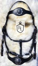 Load image into Gallery viewer, Western style Halter Bridle combination