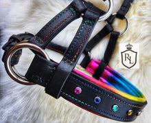 Load image into Gallery viewer, Rainbow padded bitless sidepull bridle