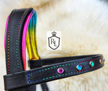 Load image into Gallery viewer, Rainbow padded bitless sidepull bridle