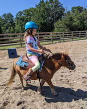 Load image into Gallery viewer, Mini horse leather sidepull