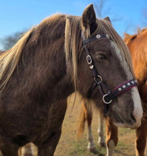 Load image into Gallery viewer, FREYA padded bitless bridle