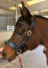 Load image into Gallery viewer, Custom Color Padded sidepull