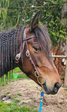 Load image into Gallery viewer, Padded Western Bridle