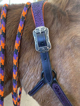 Load image into Gallery viewer, Wicked Scales Halloween halter Set