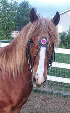 Load image into Gallery viewer, Purple Passion Fantasy Gem bit bridle