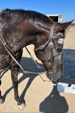 Load image into Gallery viewer, Western Chocolate and turquoise bit bridle