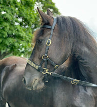 Load image into Gallery viewer, Celtic Knot Dragon sidepull