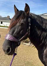 Load image into Gallery viewer, Deep purple Rose halter set