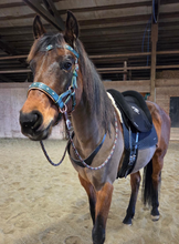 Load image into Gallery viewer, Copper patina padded bitless bridle