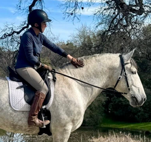 Load image into Gallery viewer, Padded Western Bridle