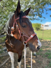 Load image into Gallery viewer, Southwest Bridle set