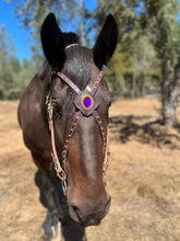 Load image into Gallery viewer, Purple Passion Fantasy Gem bit bridle