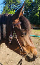 Load image into Gallery viewer, Padded Western Bridle