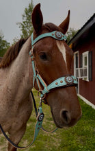 Load image into Gallery viewer, Topaz and Opal bitless bridle