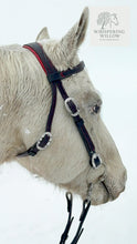Load image into Gallery viewer, Padded Western Bridle