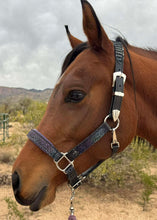 Load image into Gallery viewer, Jewel dragonscale halter