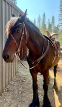 Load image into Gallery viewer, Purple Passion Fantasy Gem bit bridle