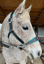 Load image into Gallery viewer, Padded halter with heart noseband