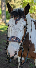 Load image into Gallery viewer, Ravens Treasure Bridle