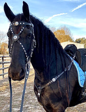 Load image into Gallery viewer, Black Winter Wonderland Baroque cross-over bit bridle