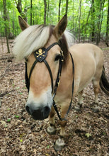 Load image into Gallery viewer, Jolly Roger cross-over bit bridle
