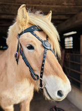 Load image into Gallery viewer, Black Winter Wonderland Baroque cross-over bit bridle