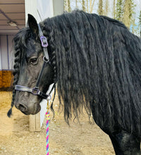 Load image into Gallery viewer, Padded sparkle halter