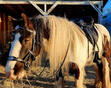Load image into Gallery viewer, Western dressage bitless bridle sidepull
