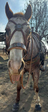 Load image into Gallery viewer, Copper underground padded bridle
