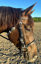Load image into Gallery viewer, LIMITED EDITION Black/silver baroque bridle