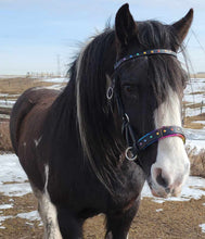 Load image into Gallery viewer, Rainbow padded bitless sidepull bridle