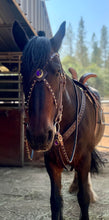 Load image into Gallery viewer, Purple Passion Fantasy Gem bit bridle