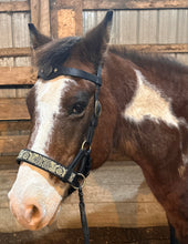 Load image into Gallery viewer, Celtic Knot Dragon sidepull