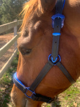 Load image into Gallery viewer, Padded sparkle halter