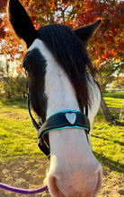 Load image into Gallery viewer, Padded halter with heart noseband