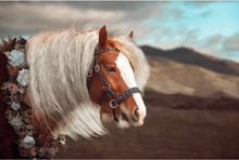 Load image into Gallery viewer, Rainbow padded bitless sidepull bridle