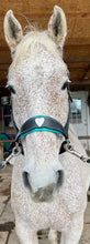 Load image into Gallery viewer, Padded halter with heart noseband