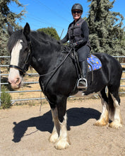 Load image into Gallery viewer, Custom Color Padded sidepull