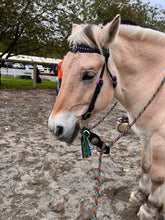 Load image into Gallery viewer, Rainbow Unicorn bit bridle set