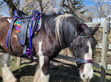 Load image into Gallery viewer, Rainbow padded bitless sidepull bridle