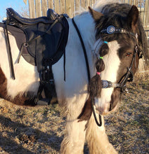 Load image into Gallery viewer, Western dressage bitless bridle sidepull