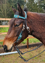 Load image into Gallery viewer, Copper Sky bridle