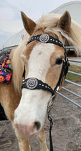 Load image into Gallery viewer, Western dressage bridle