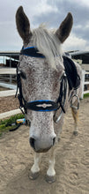 Load image into Gallery viewer, Padded baroque bit bridle